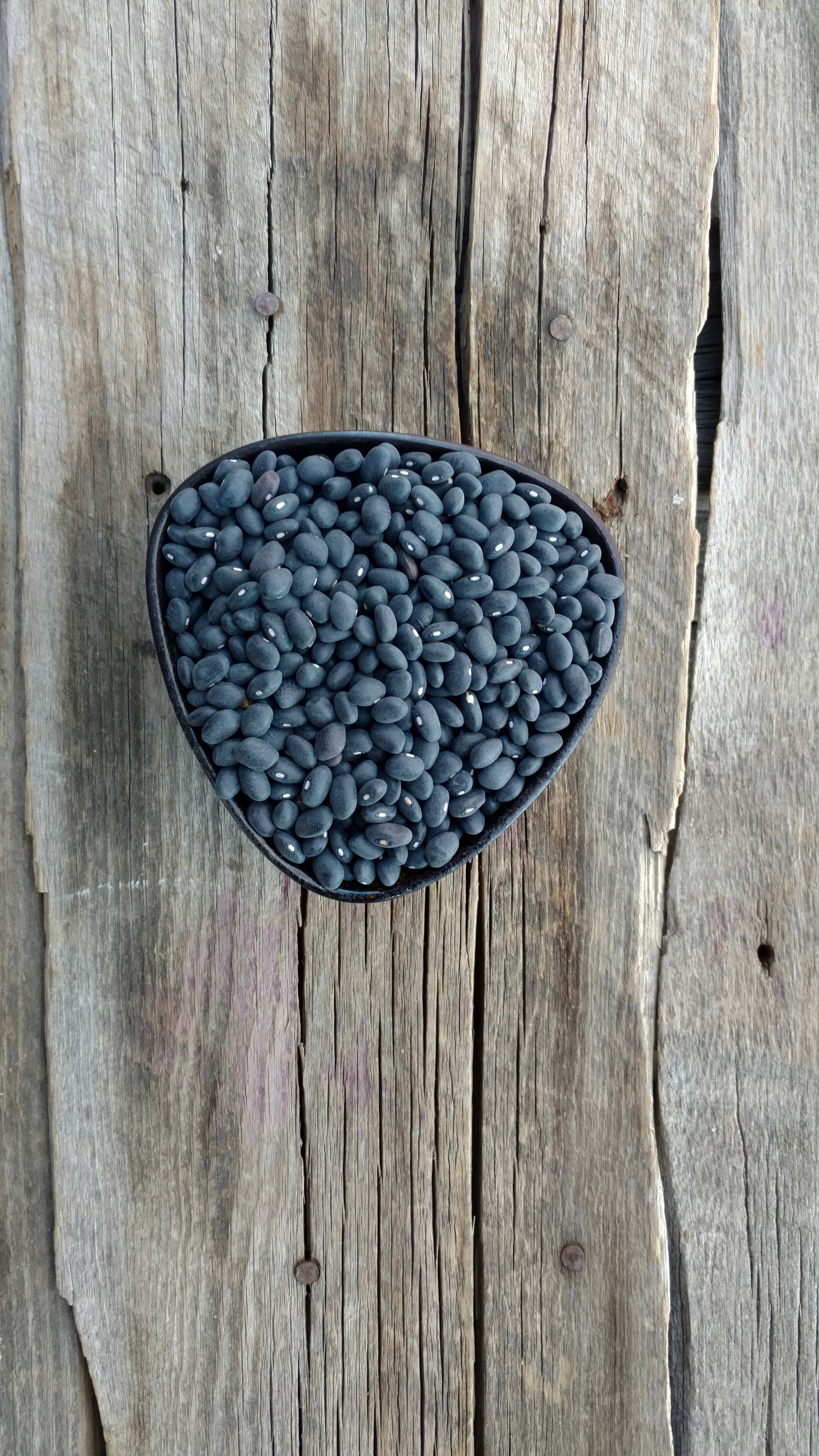Rod's Organic Black Beans (/lb)