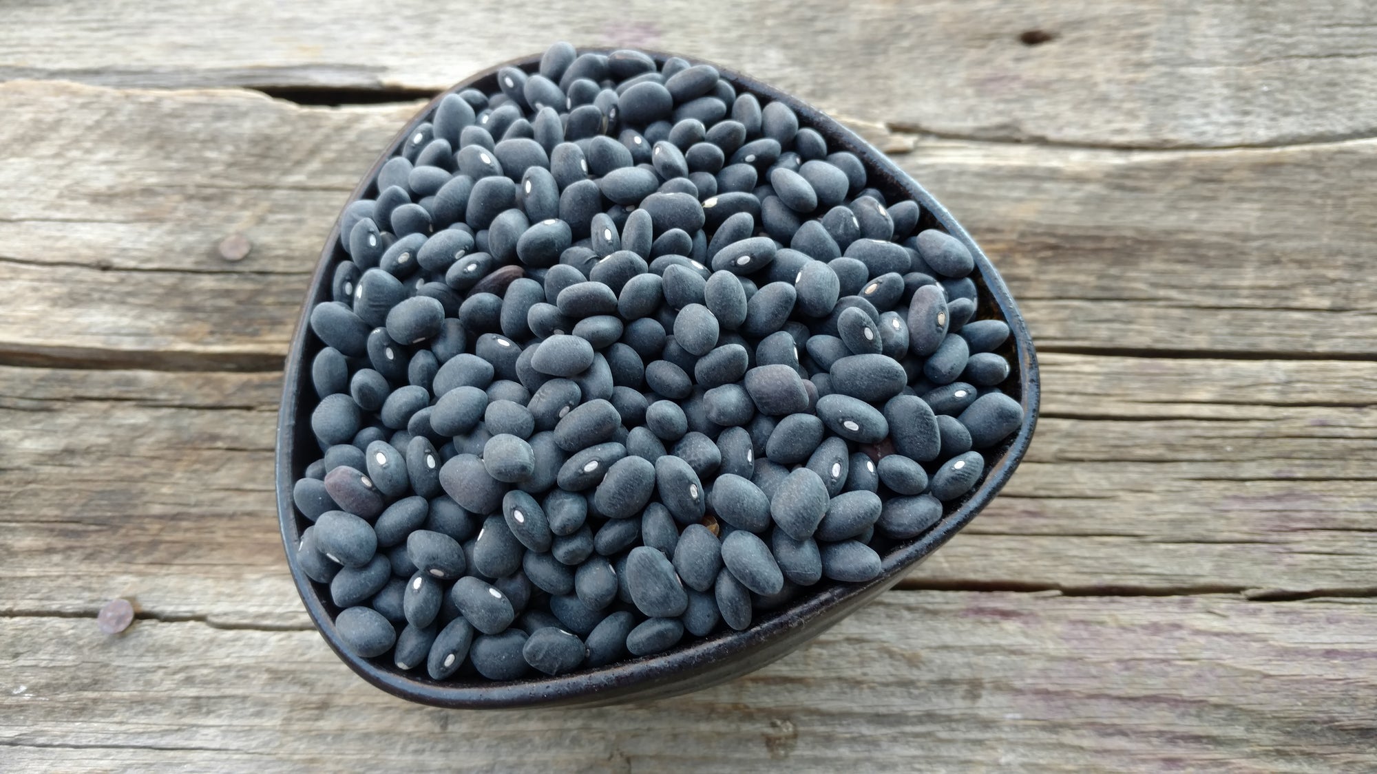 Rod's Organic Black Beans (/lb)