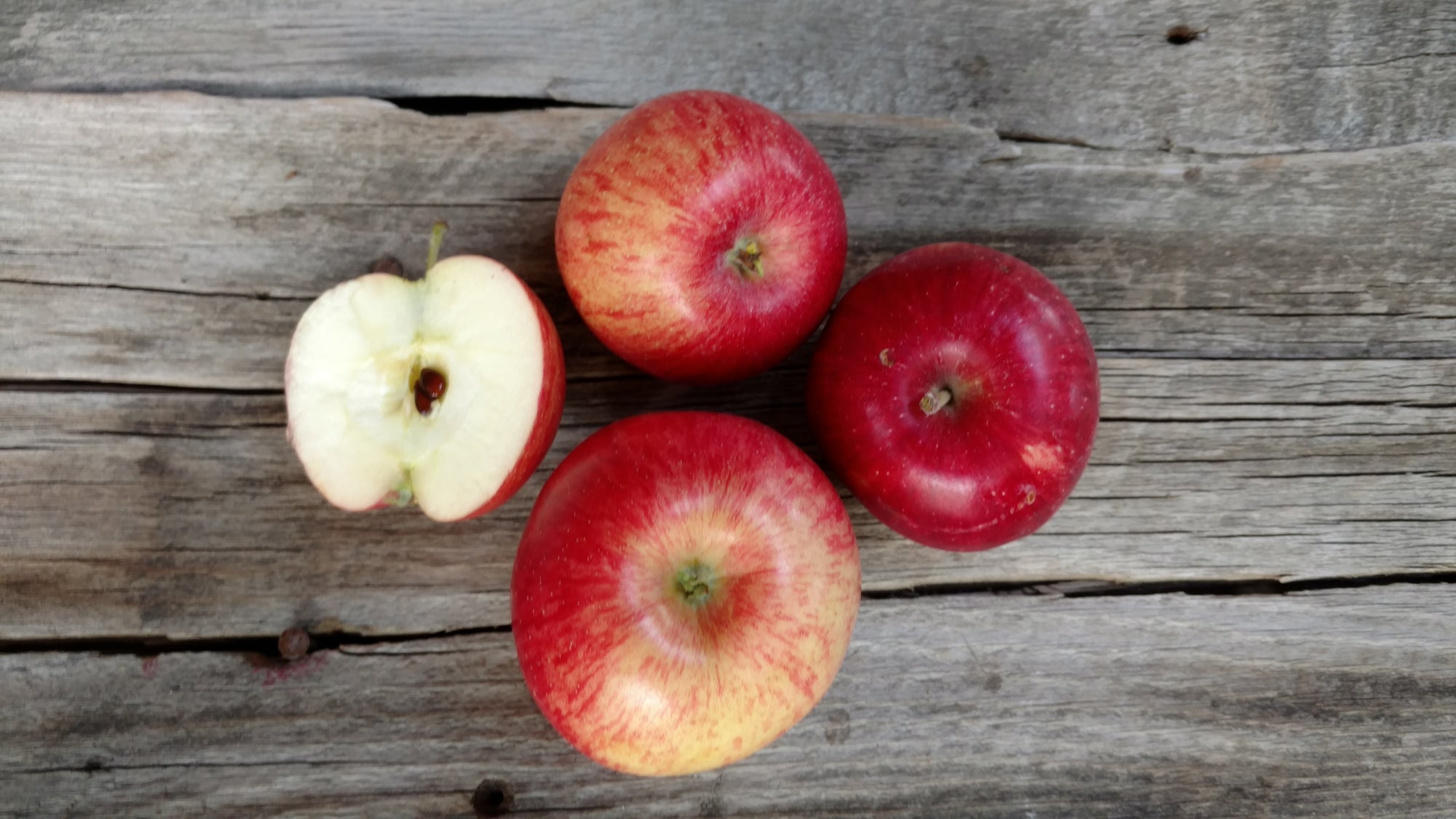 Bonnie's Apples: Fireside (/lb) (Tart Baking Apple)