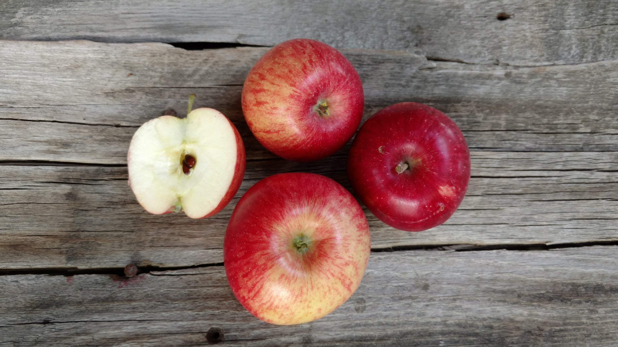 Bonnie's Apples: Fireside (/lb) (Tart Baking Apple)