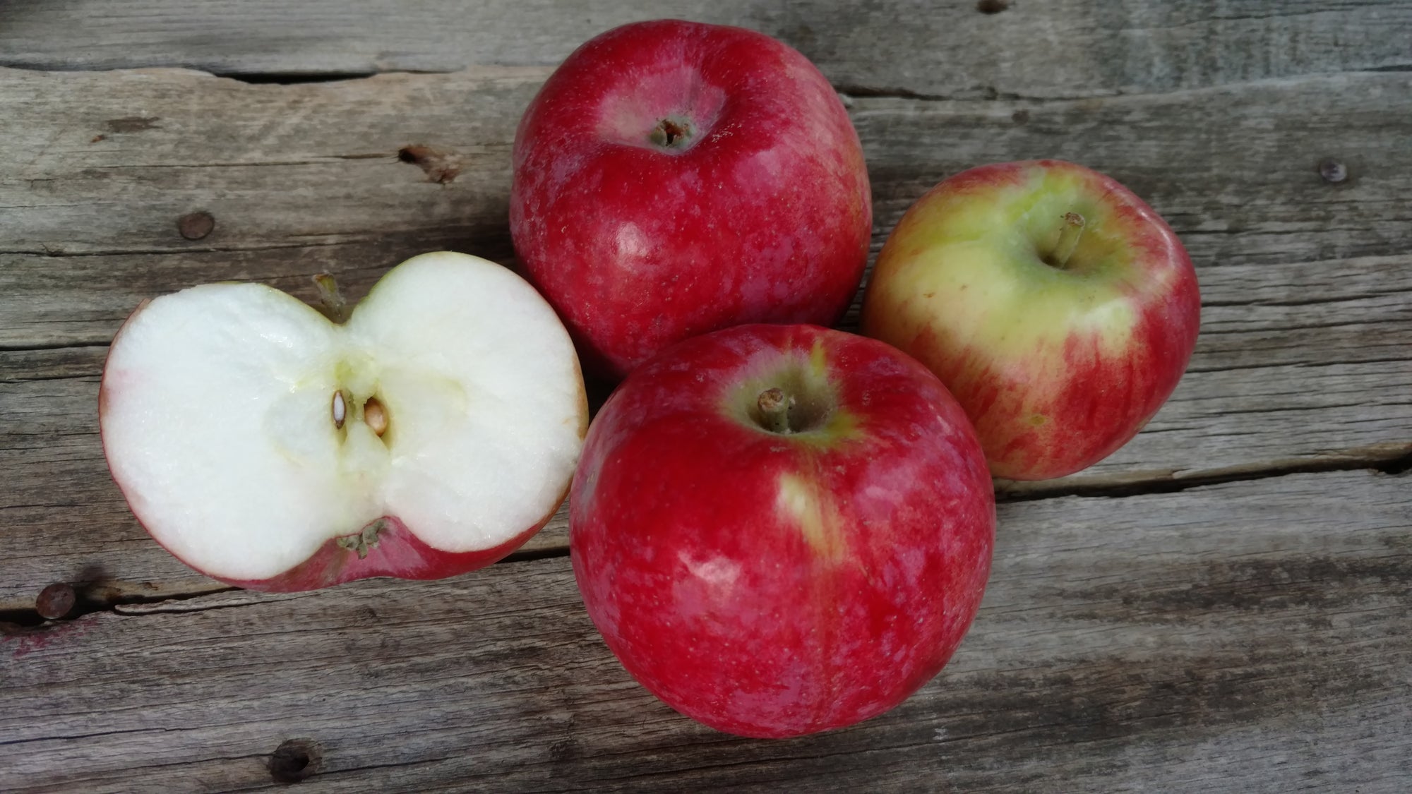 Bonnie's Apples: Cortland (/lb)