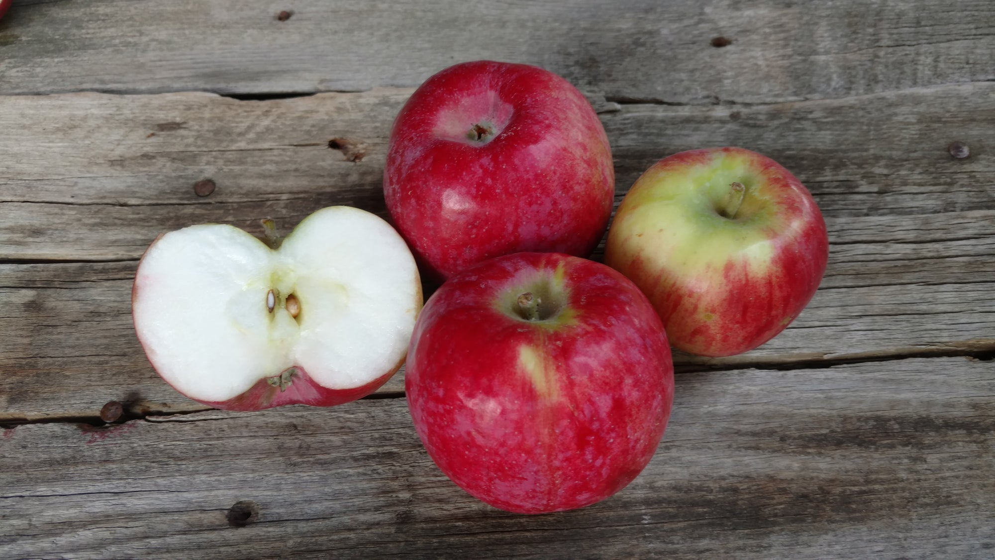 Bonnie's Apples: Cortland (/lb)