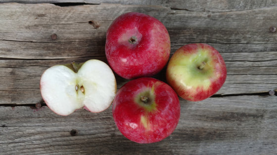 Bonnie's Apples: Cortland (/lb)