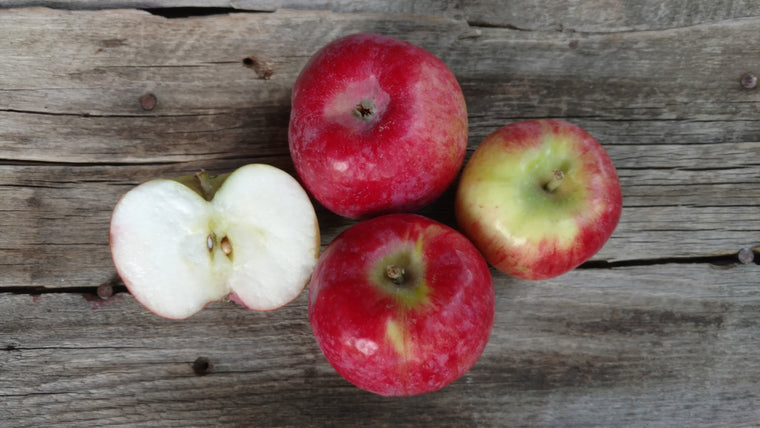 Bonnie's Apples: Cortland (/lb)