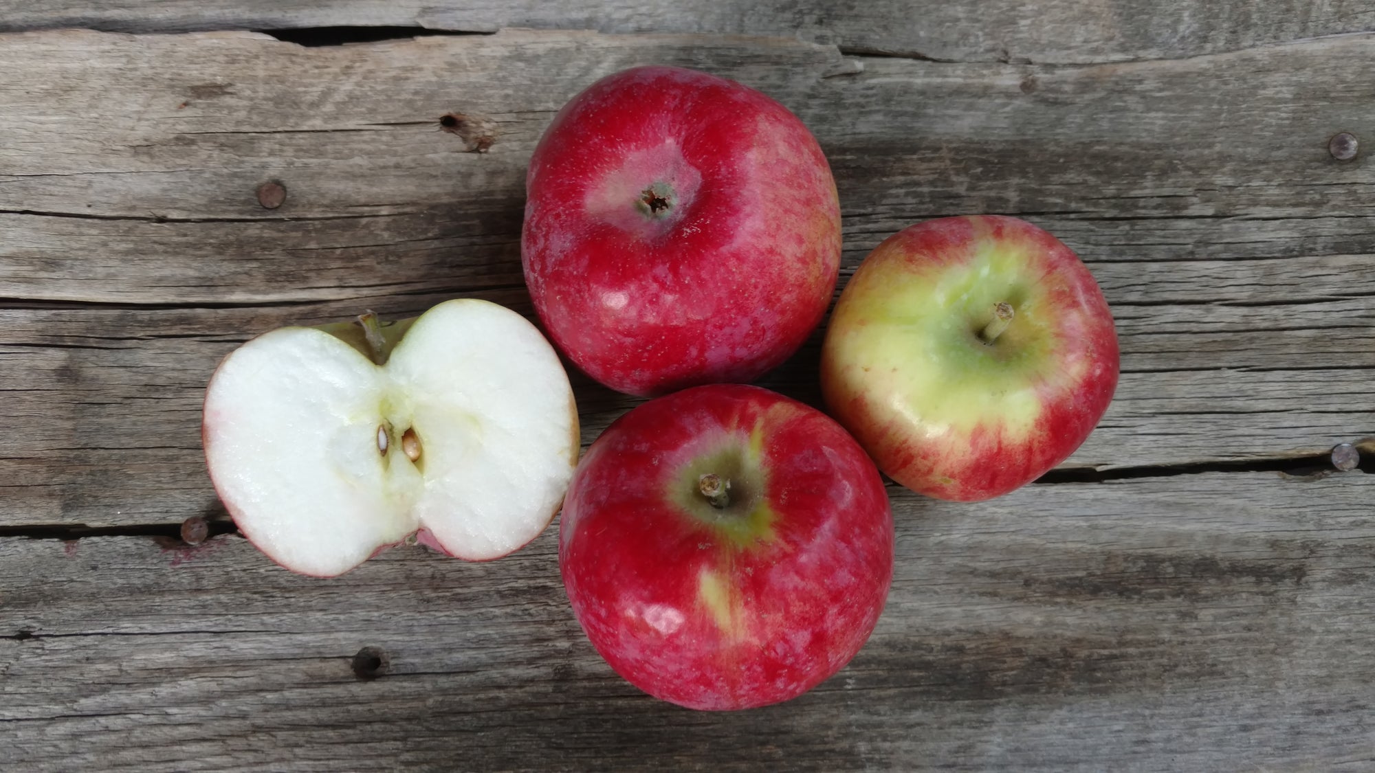 Bonnie's Apples: Cortland (/lb)