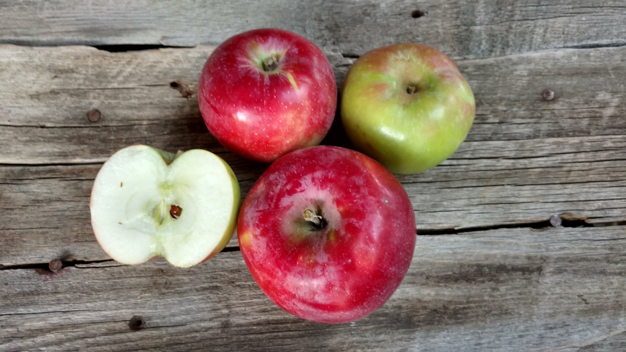 Bonnie's Apples: Snow Sweet (/lb)