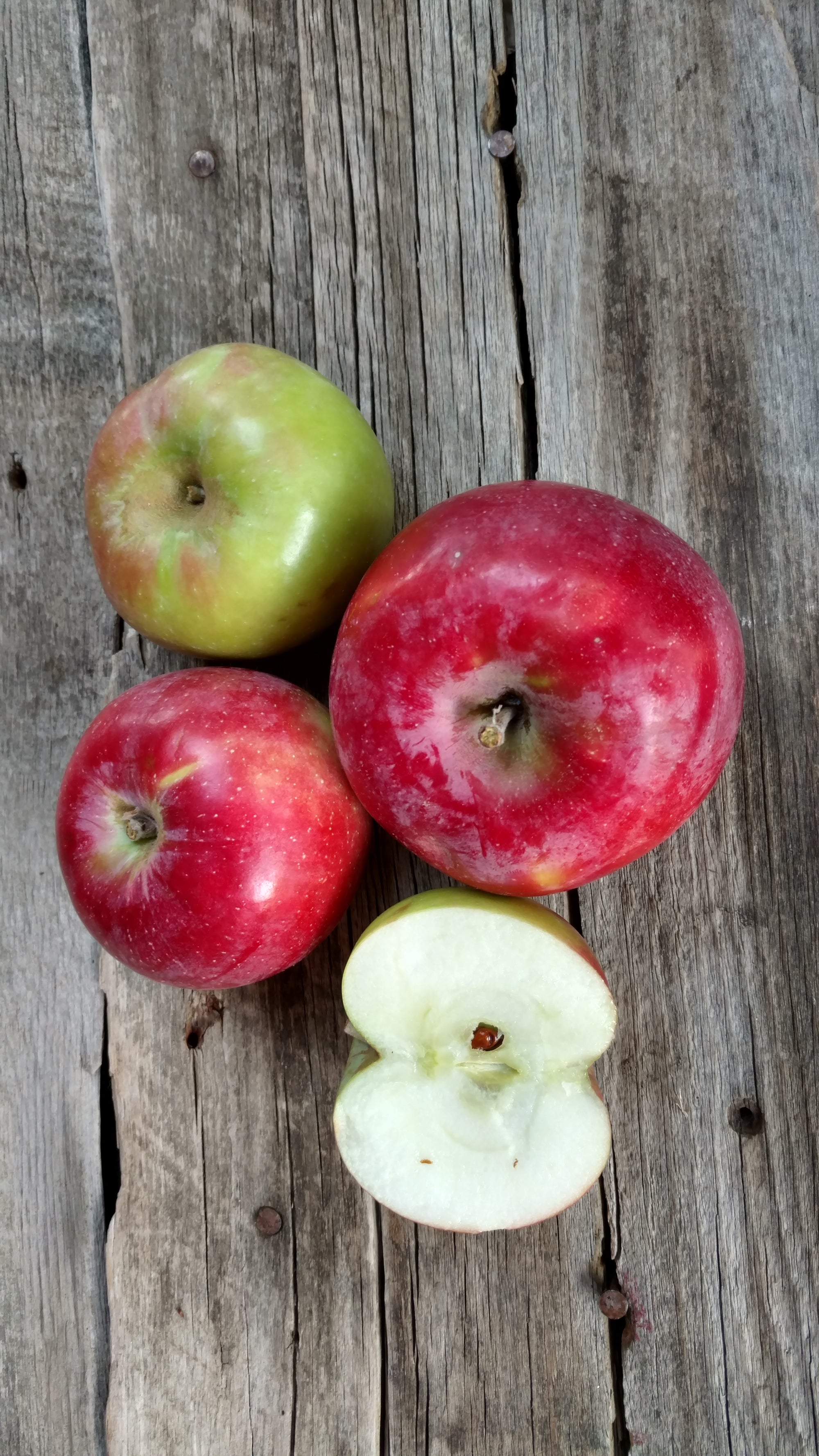 Bonnie's Apples: Snow Sweet (/lb)