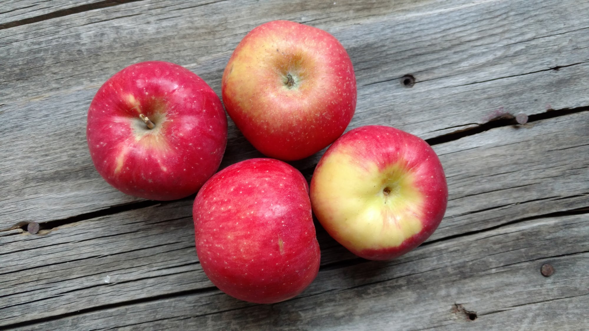 Bonnie's Apples: Keepsake (/lb)