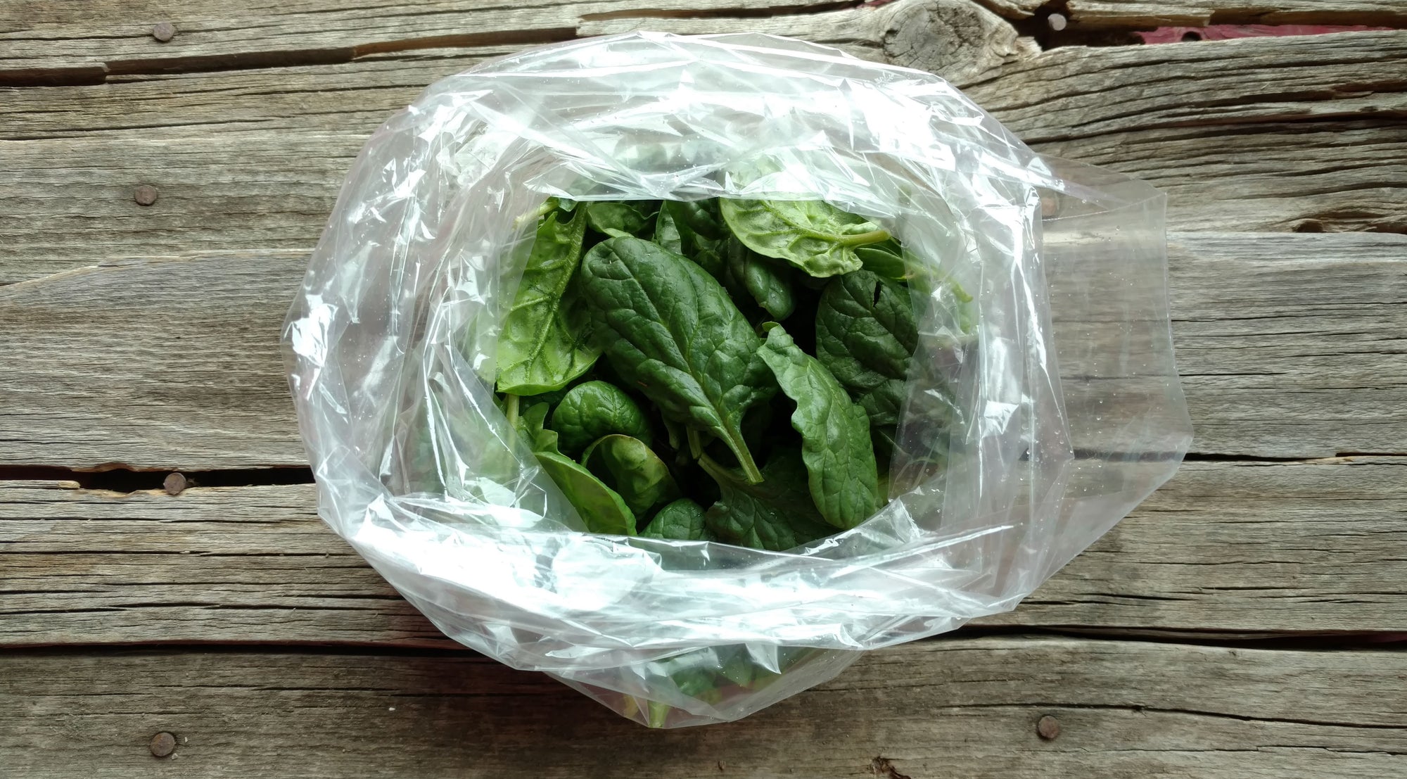 Zach's Spinach (/8oz or 16 oz bag)