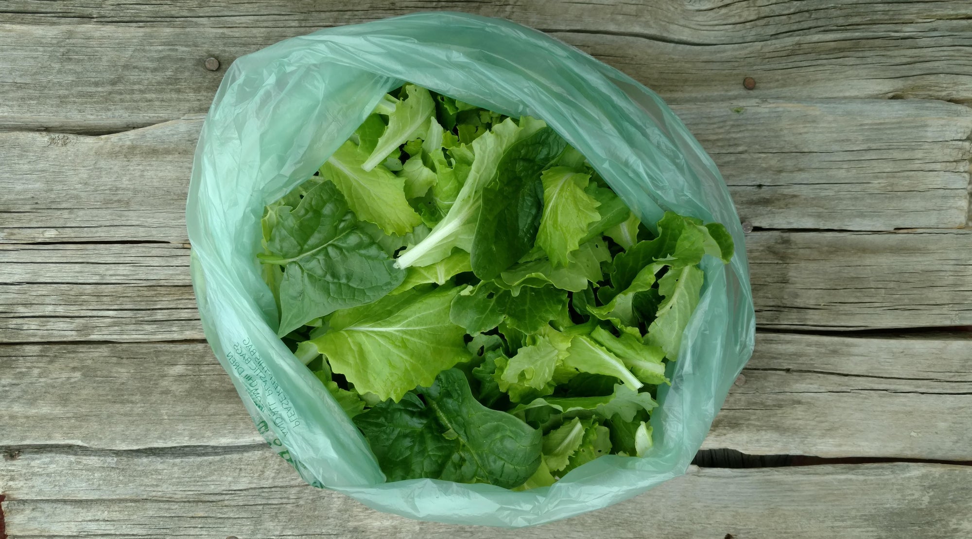 Zach's Salad Mix (/8oz or 16oz)