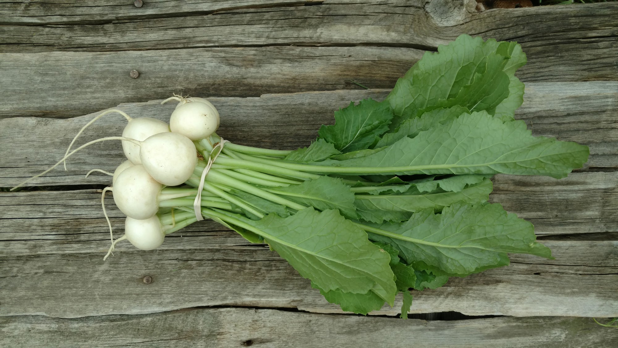 Zach's Salad Turnips (/bunch)