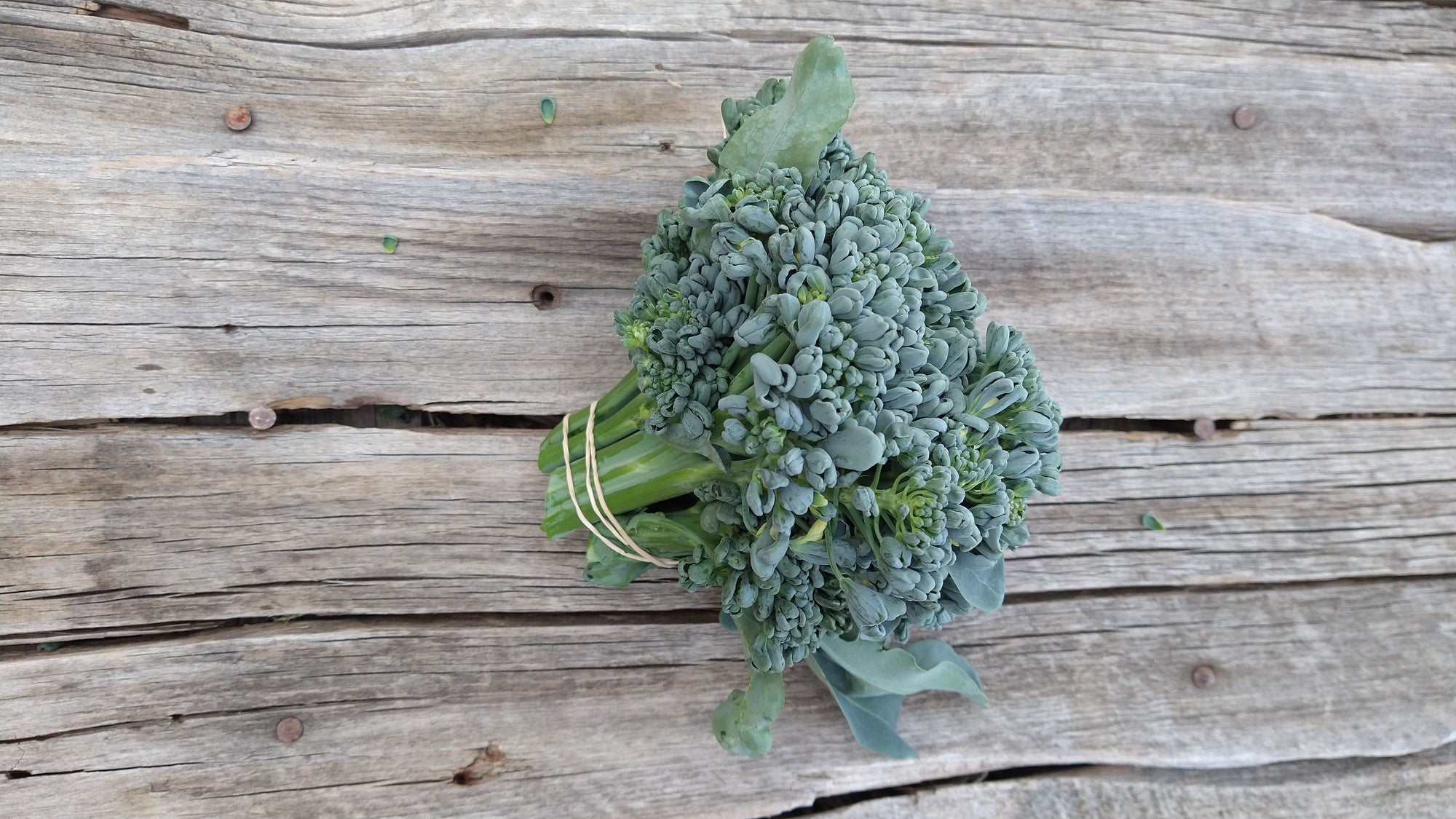 Zach's Broccolini (/bunch)