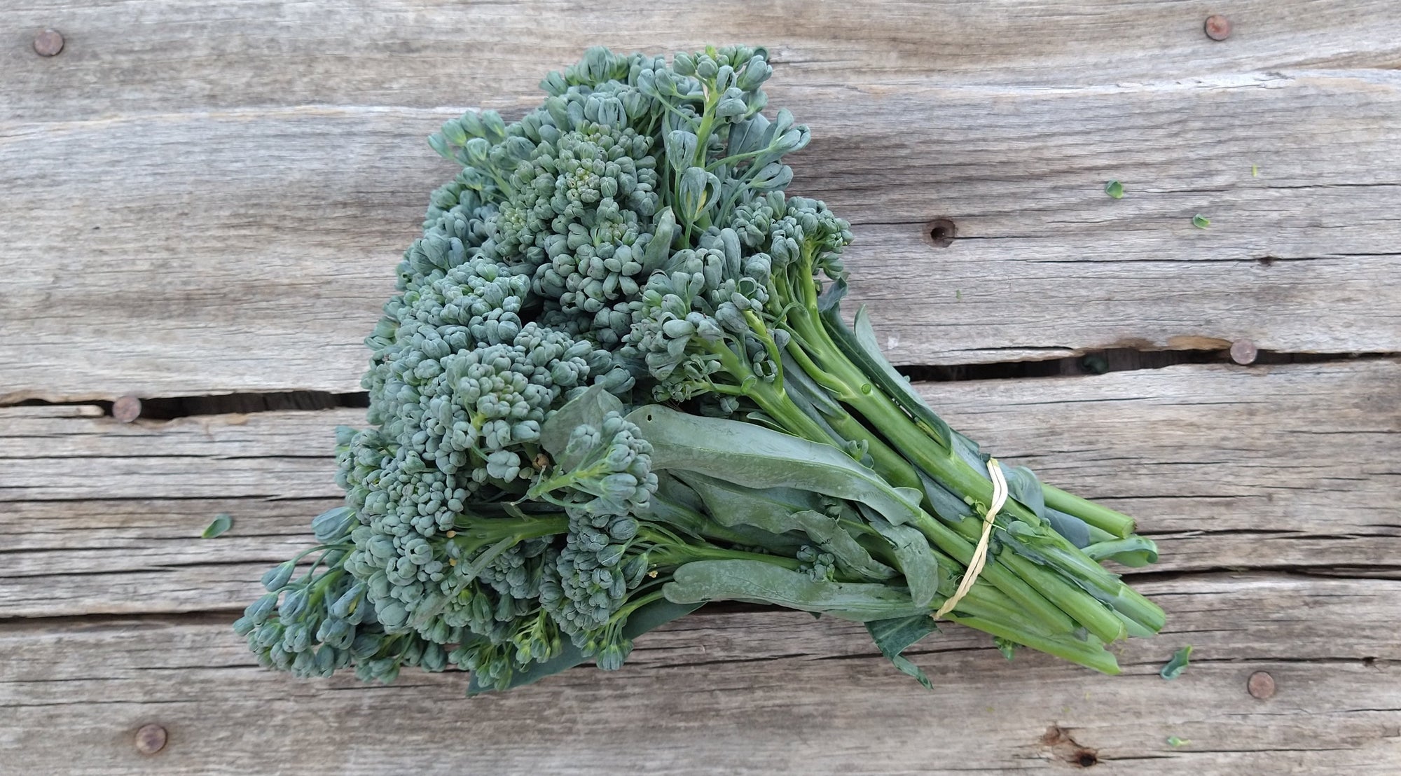 Zach's Broccolini (/bunch)