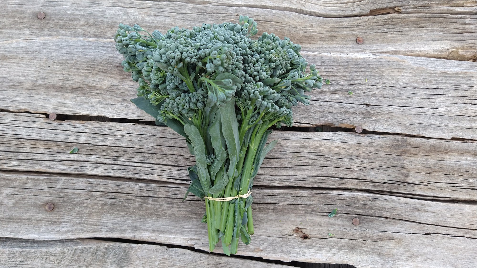 Zach's Broccolini (/bunch)