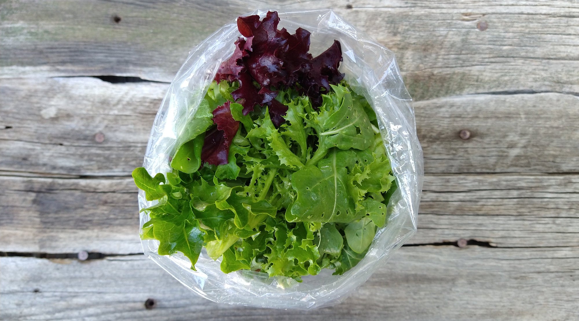 Zach's Salad Mix (/8oz or 16oz)