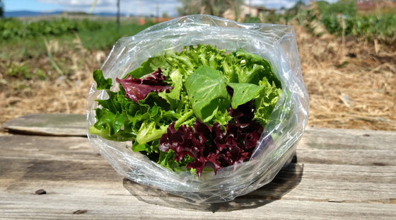 Zach's Salad Mix (/8oz or 16oz)