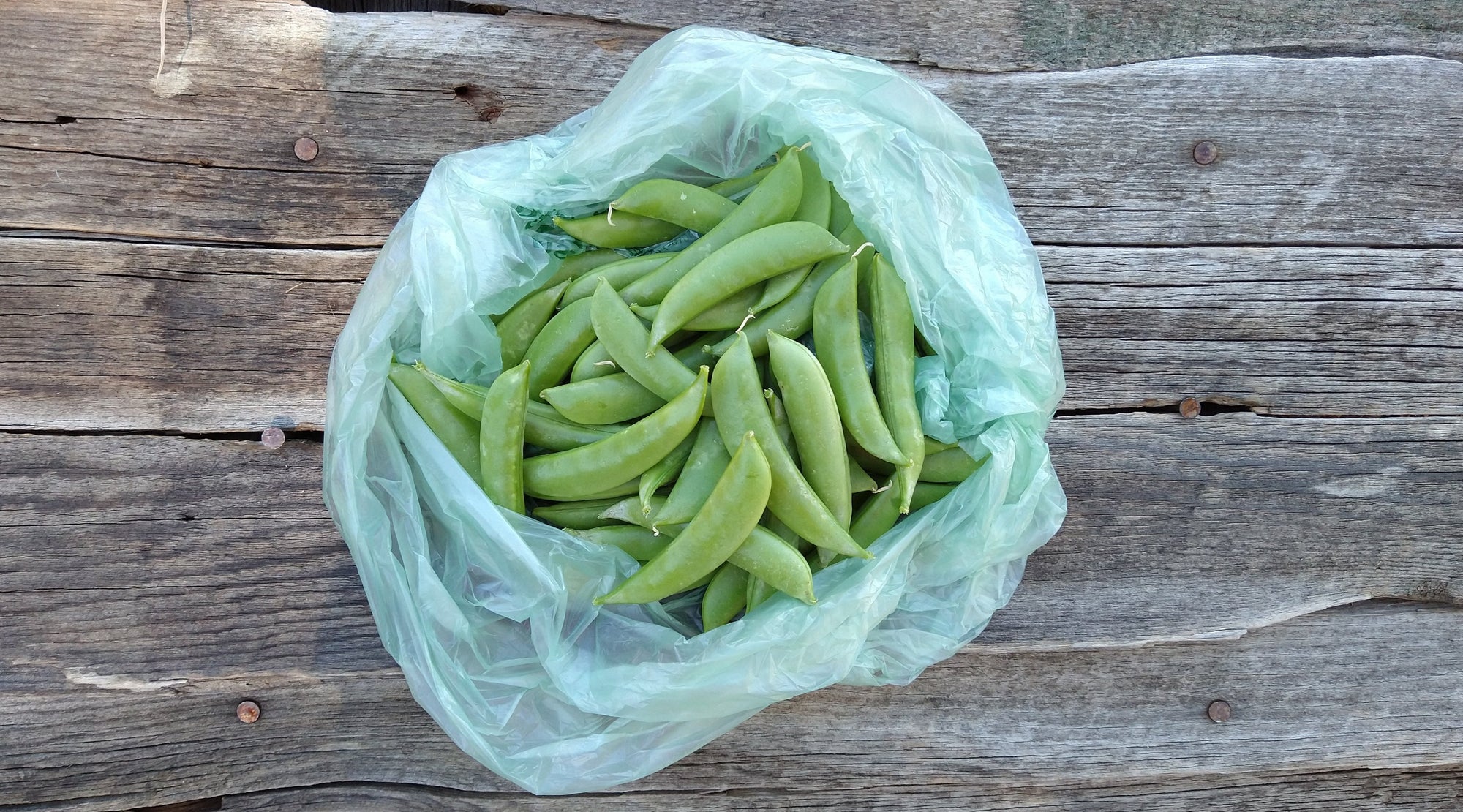 Zach's Snap Peas (/pint)