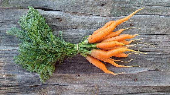 Zach's Carrots (/bunch)