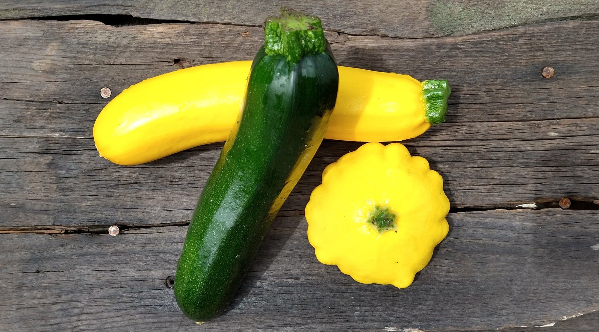 Zach's Summer Squash Mix (/lb)