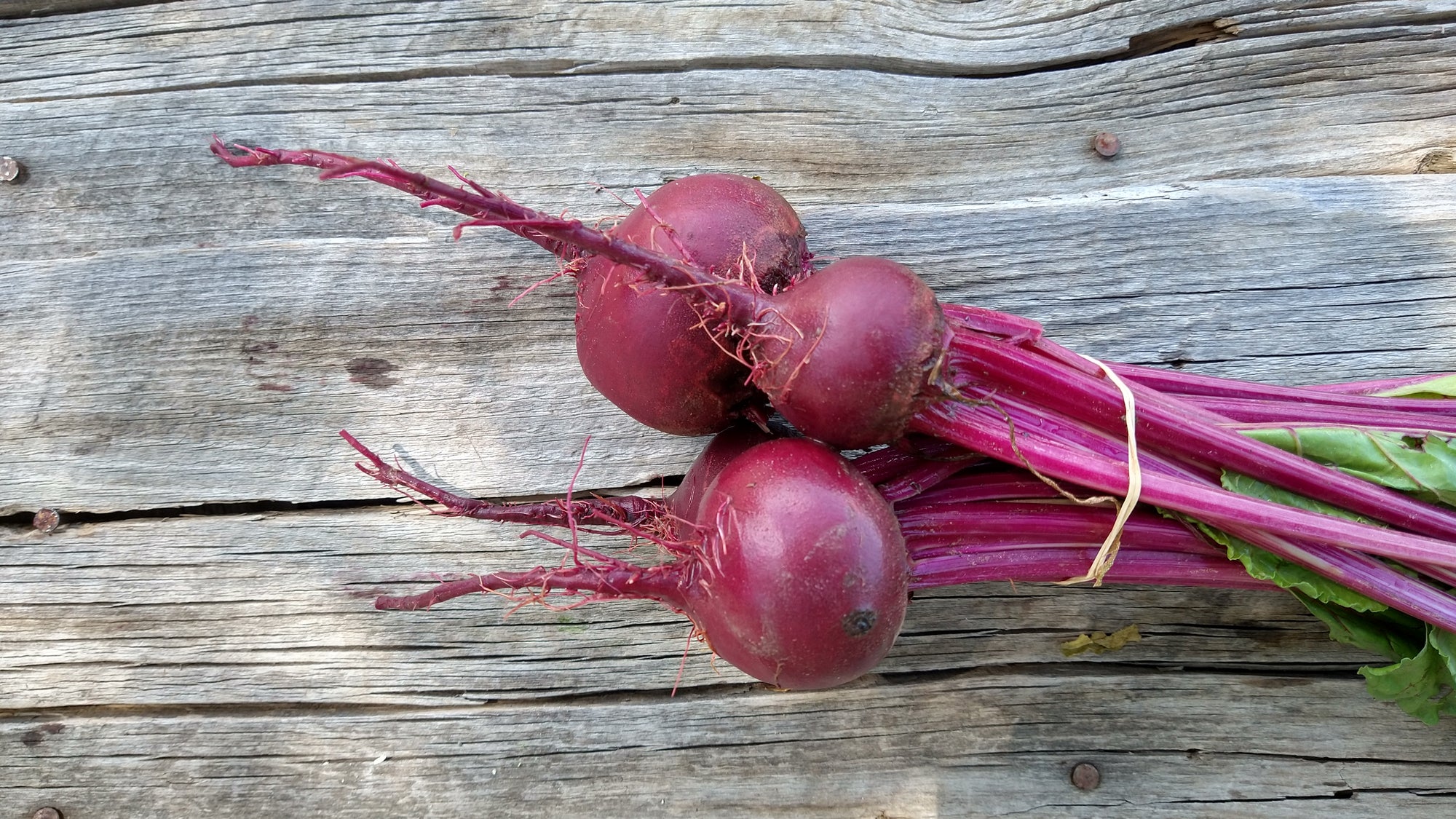 Zach's Beets (/bunch)