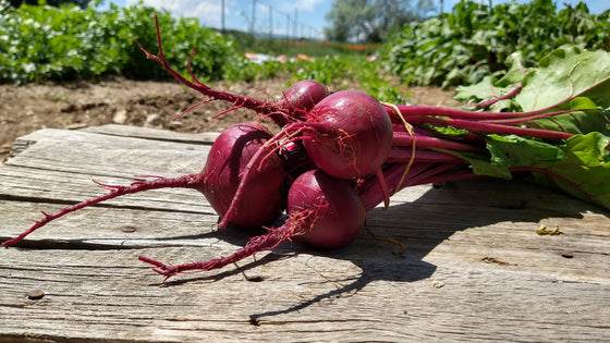 Zach's Beets (/bunch)