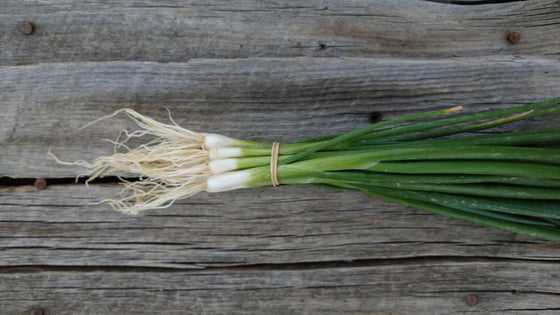 Zach's Green Onions (/bunch)