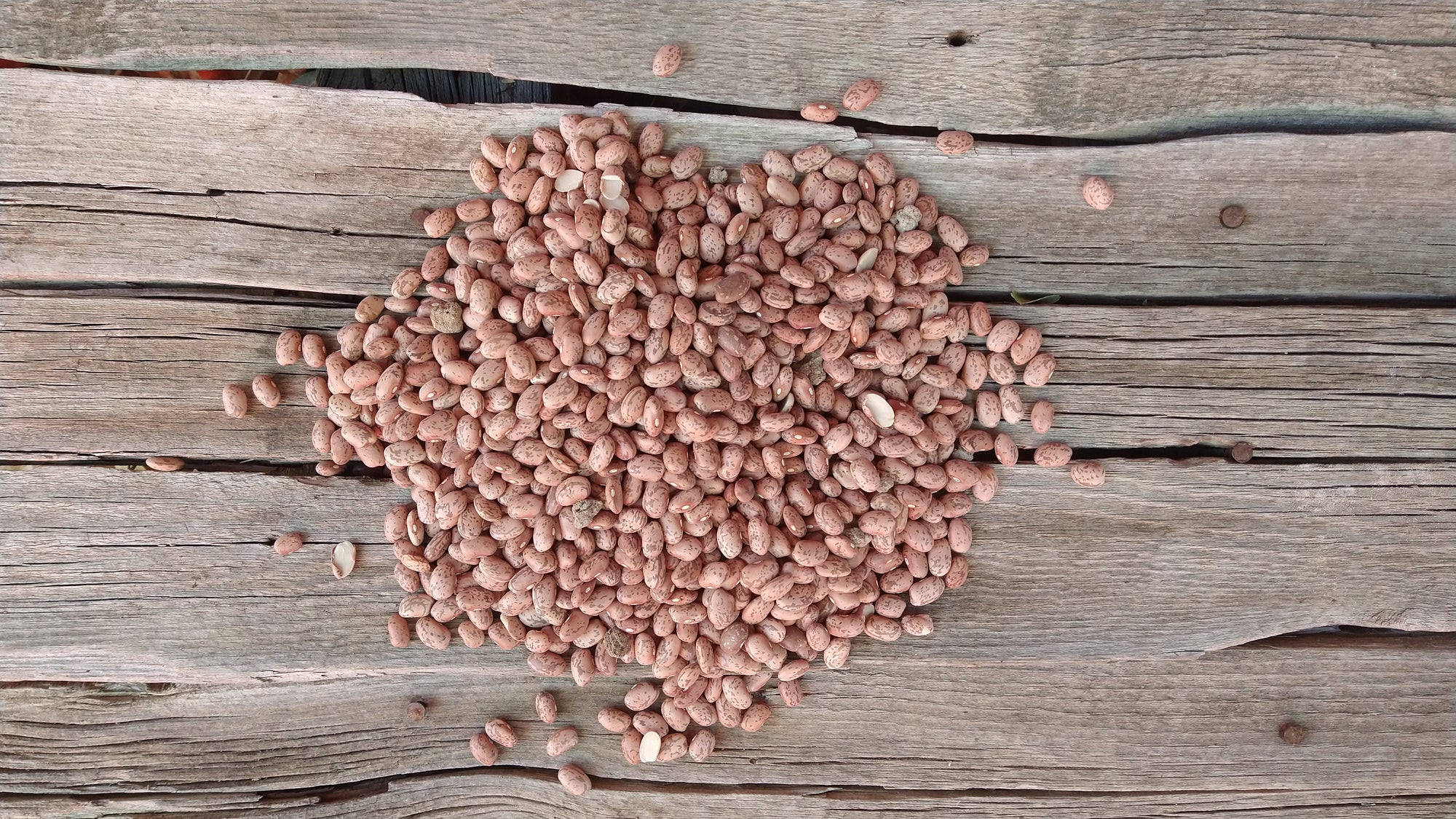 Rod's Organic Pinto Beans (/lb)