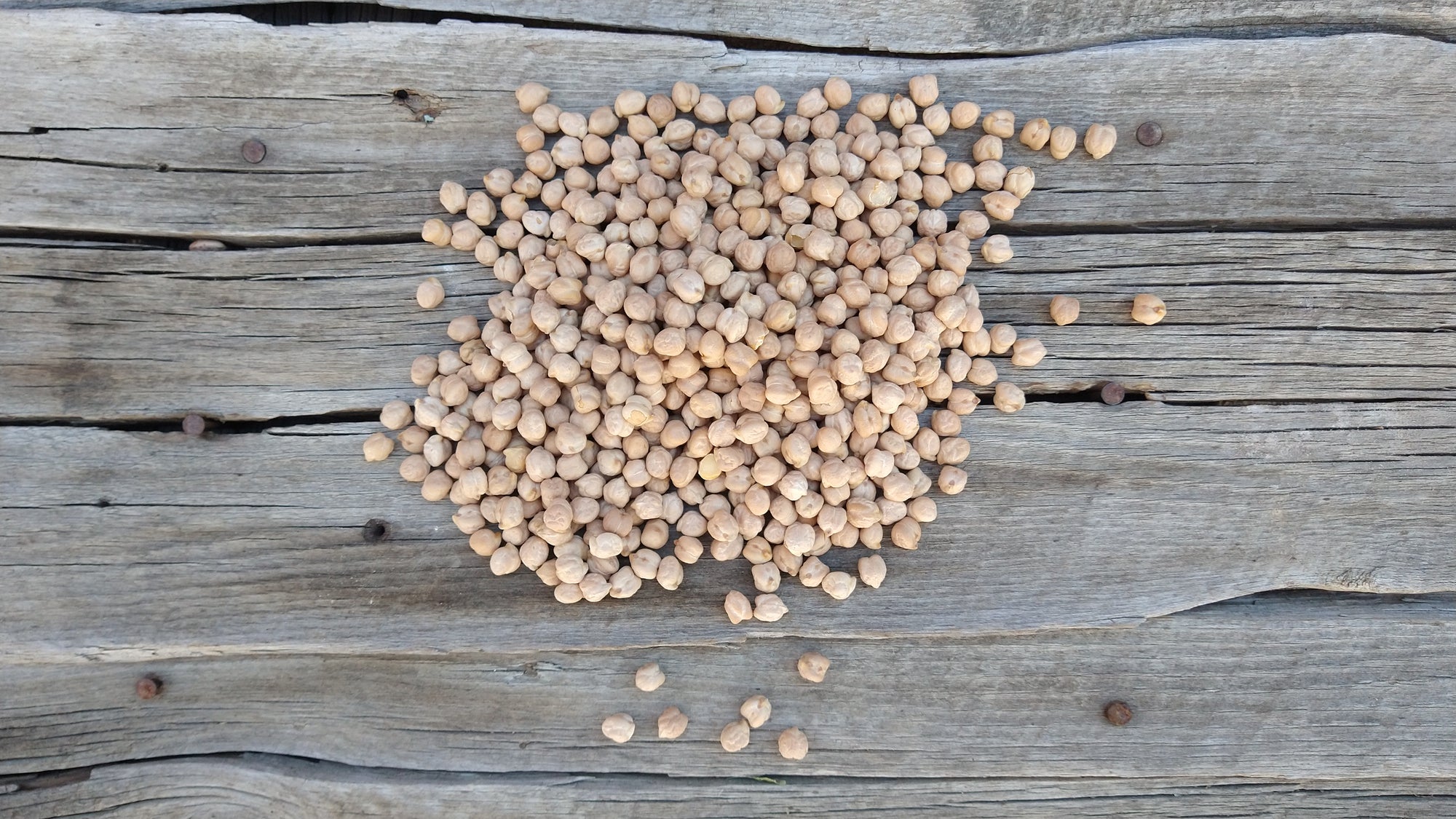 Organic Garbanzo Beans (/lb)