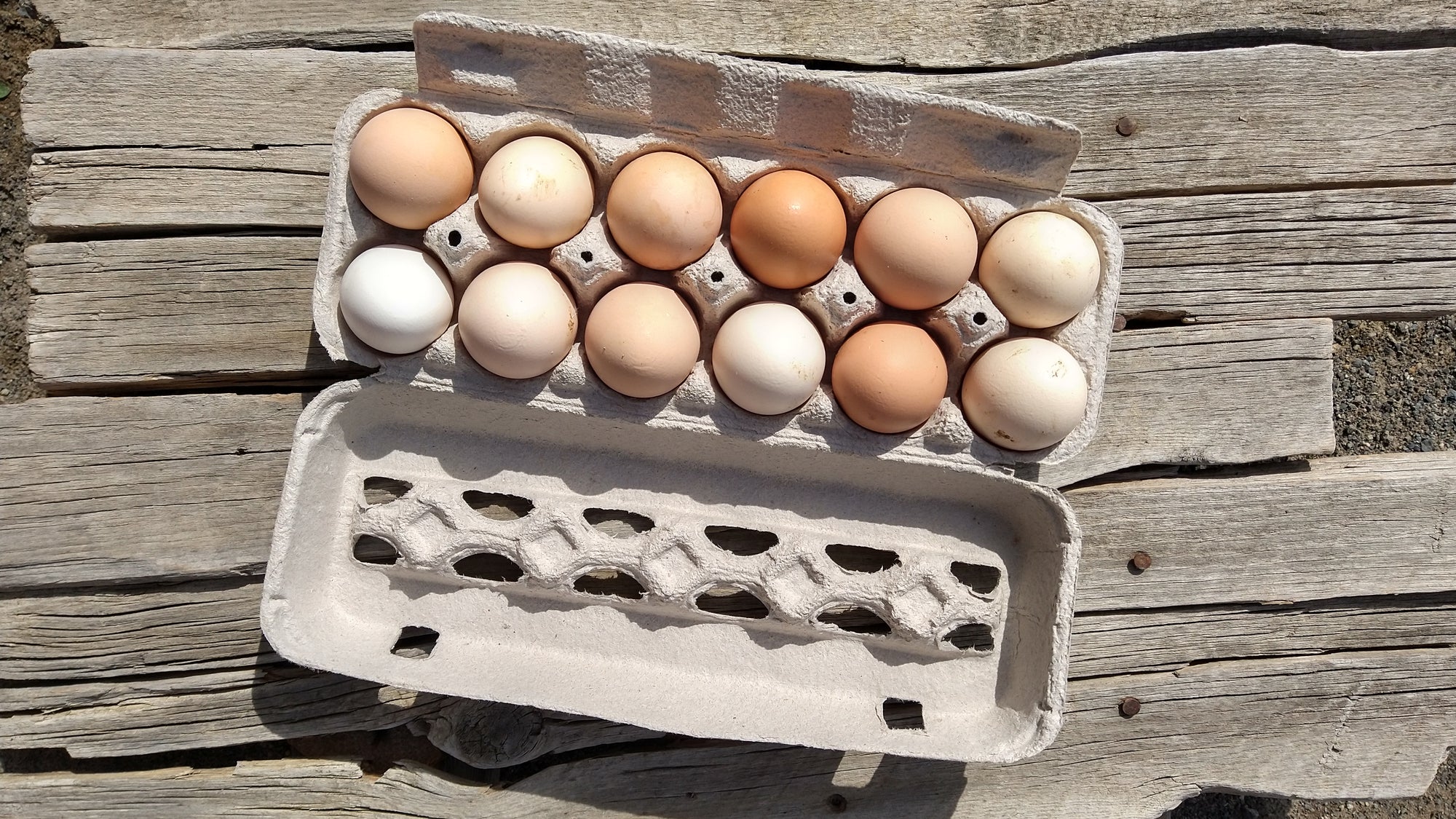 Local Eggs (/dozen)