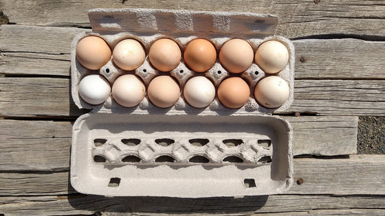 Kristi's Eggs (/dozen)