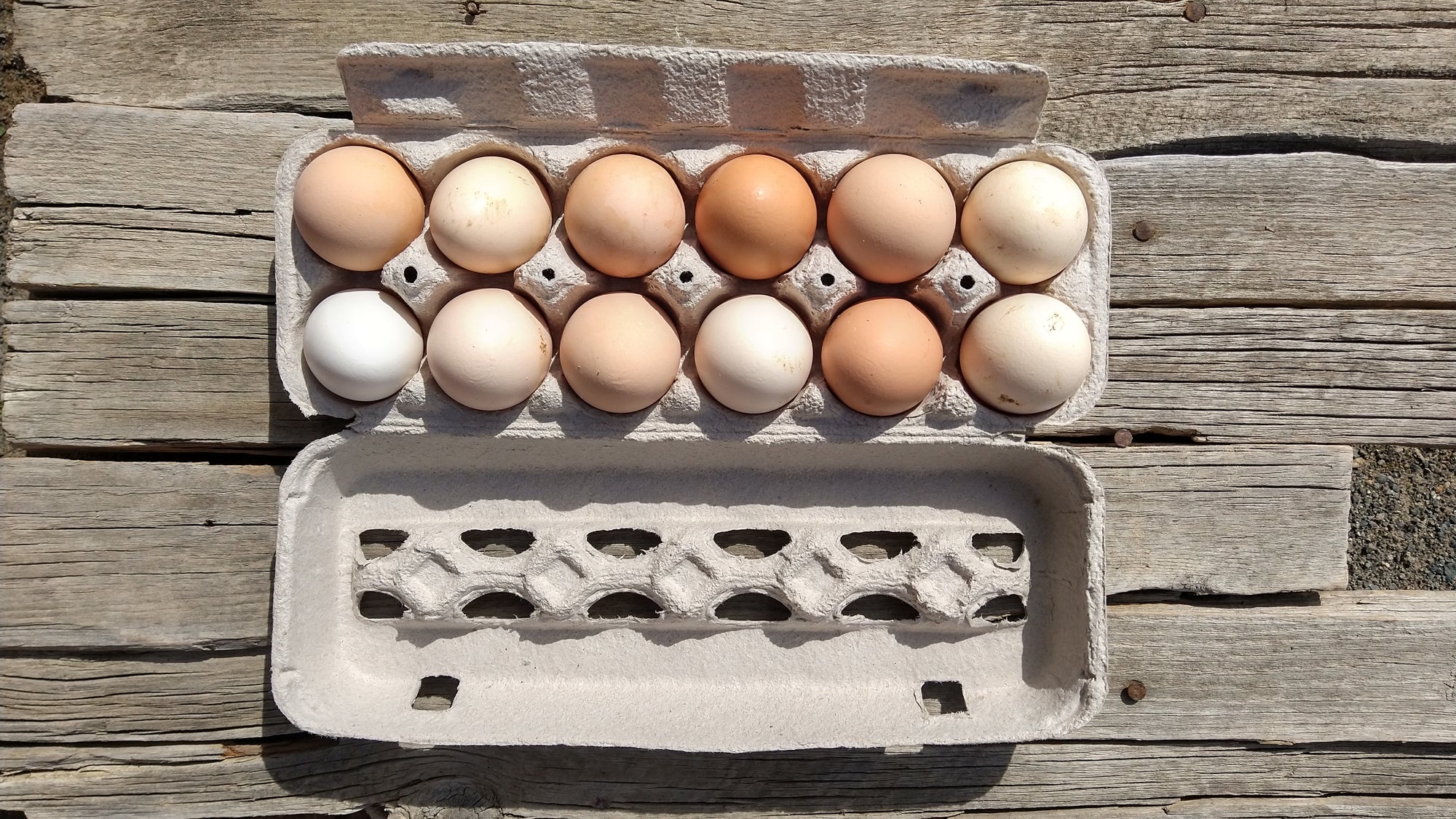Local Eggs (/dozen)