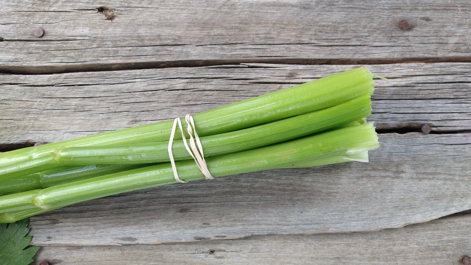 Zach's Celery (/bunch)