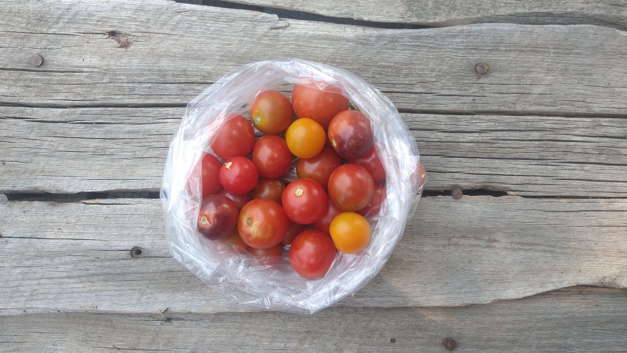 Zach's Cherry Tomatoes (/pint)