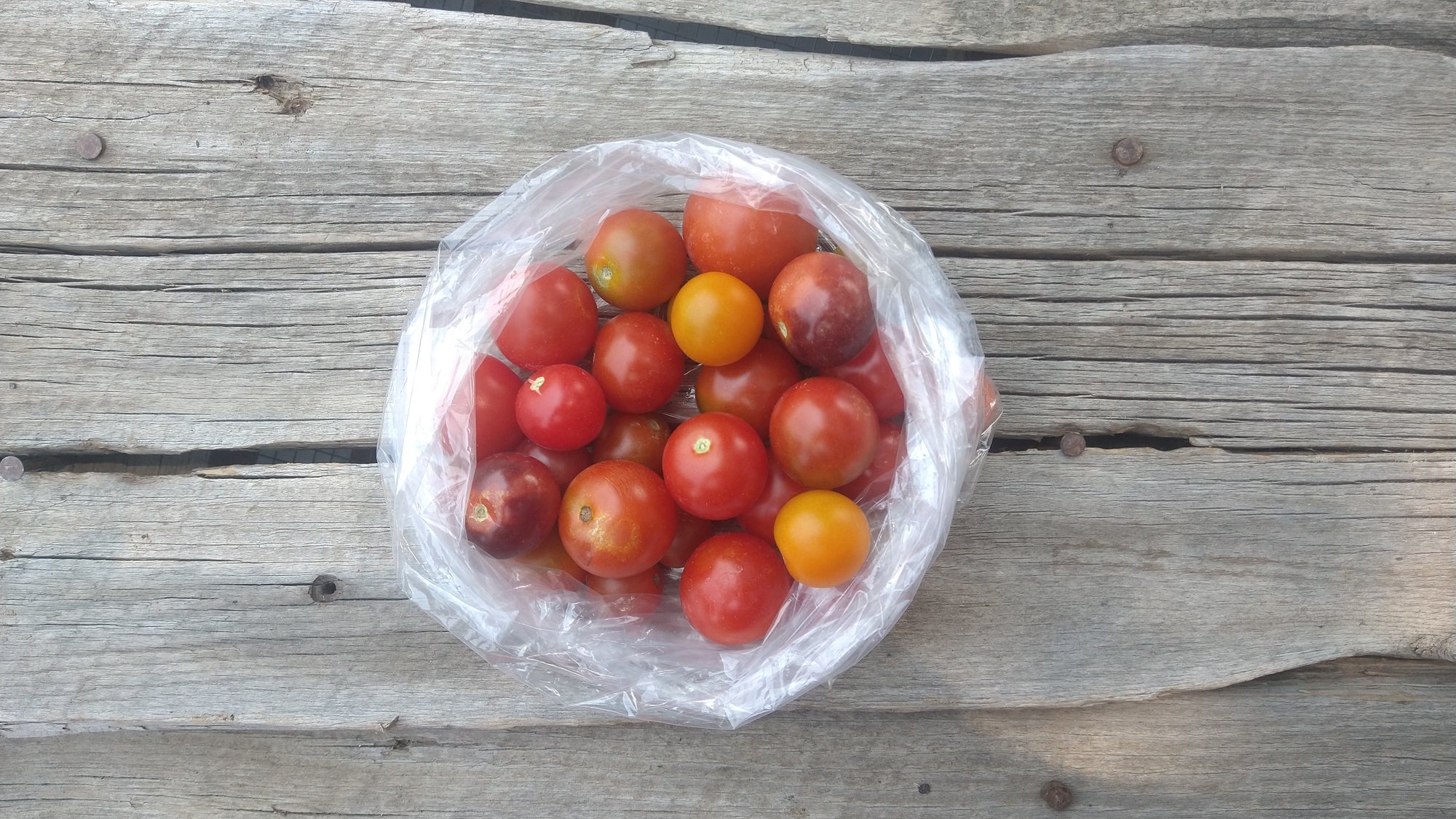 Zach's Cherry Tomatoes (/pint)