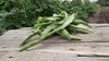 Zach's Green Beans (/8 ounce bag)
