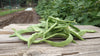 Zach's Green Beans (/8 ounce bag)