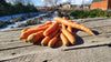 Zach's Storage Carrots (/lb) (October Harvest)