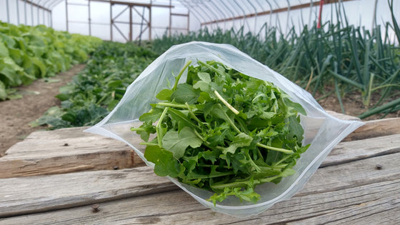 Zach's Arugula (/4, 8, or 16oz)