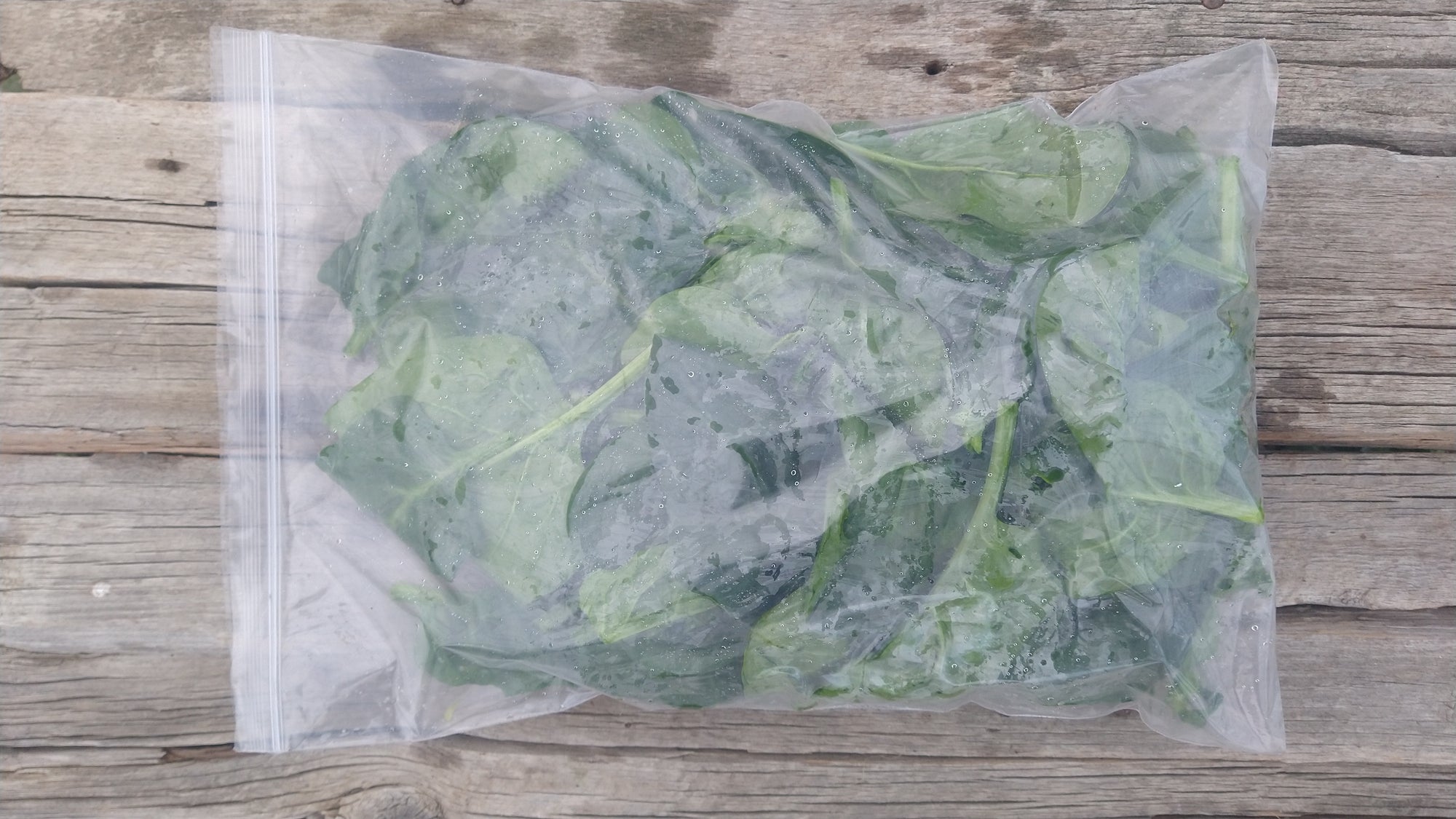 Zach's Spinach (/8oz or 16 oz bag)