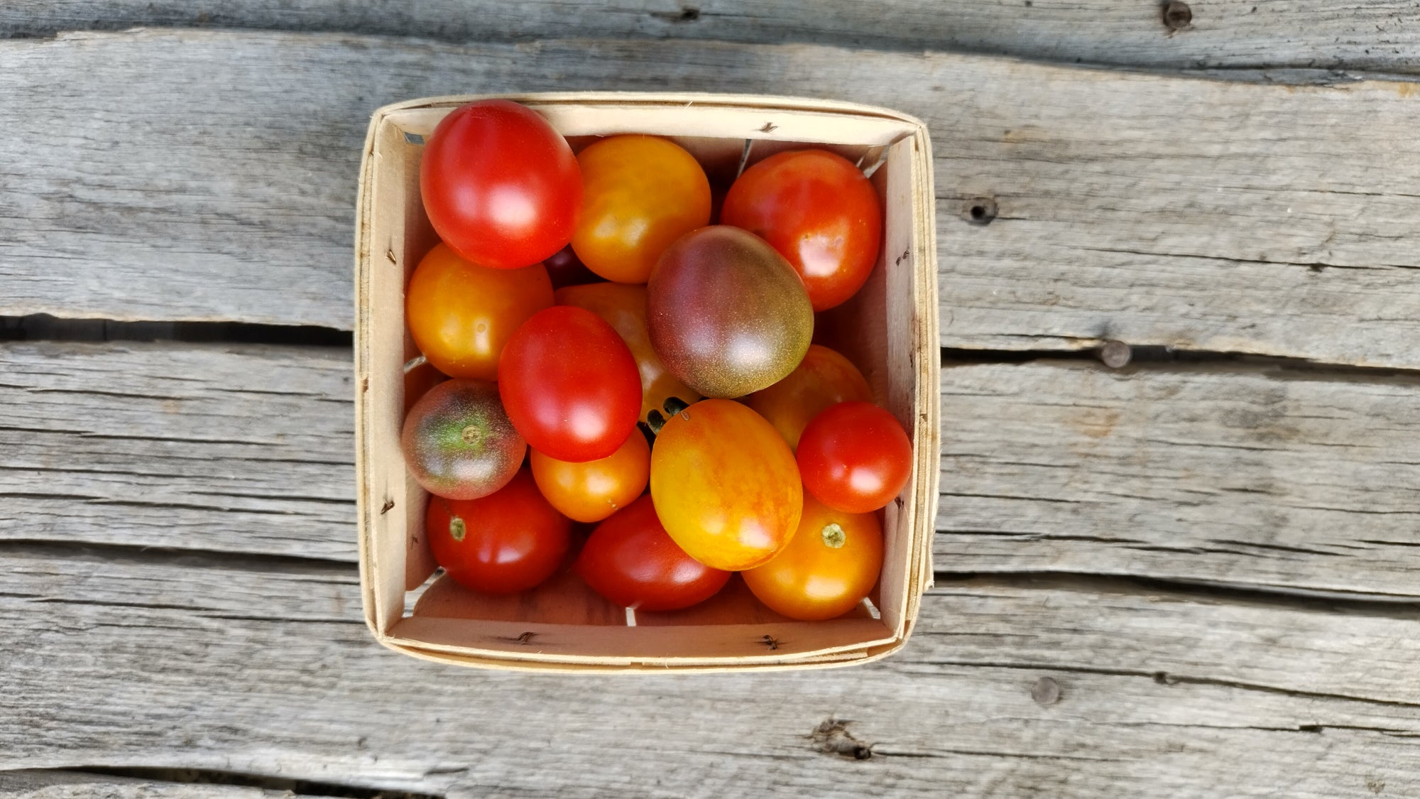 Zach's Cherry Tomatoes (/pint)