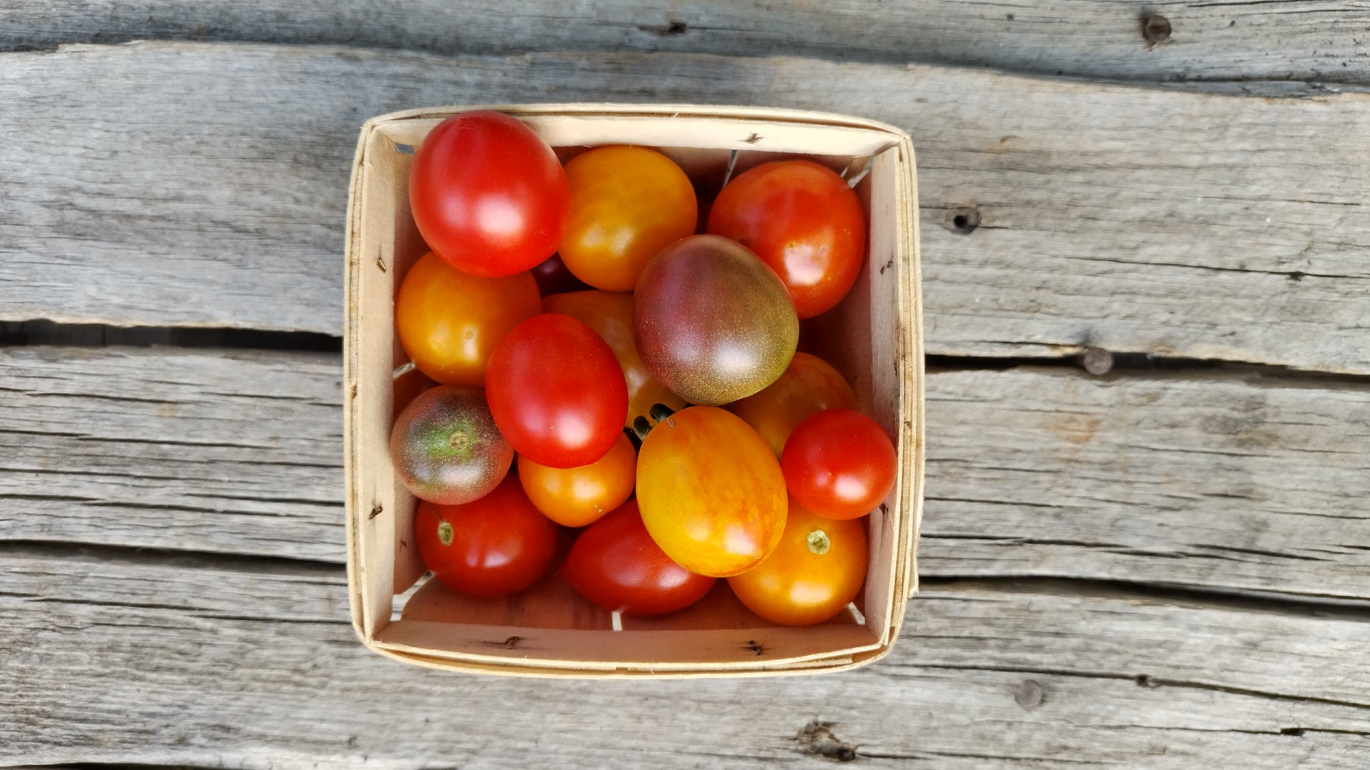 Zach's Cherry Tomatoes (/pint)