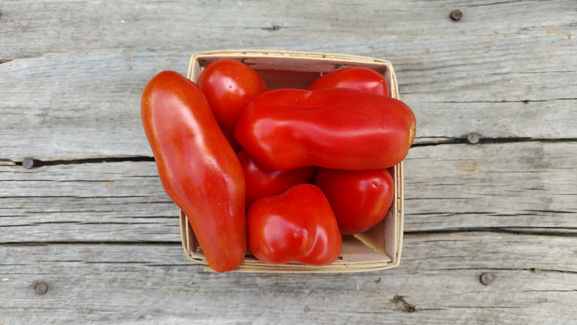 Zach's Paste Tomatoes (/lb)