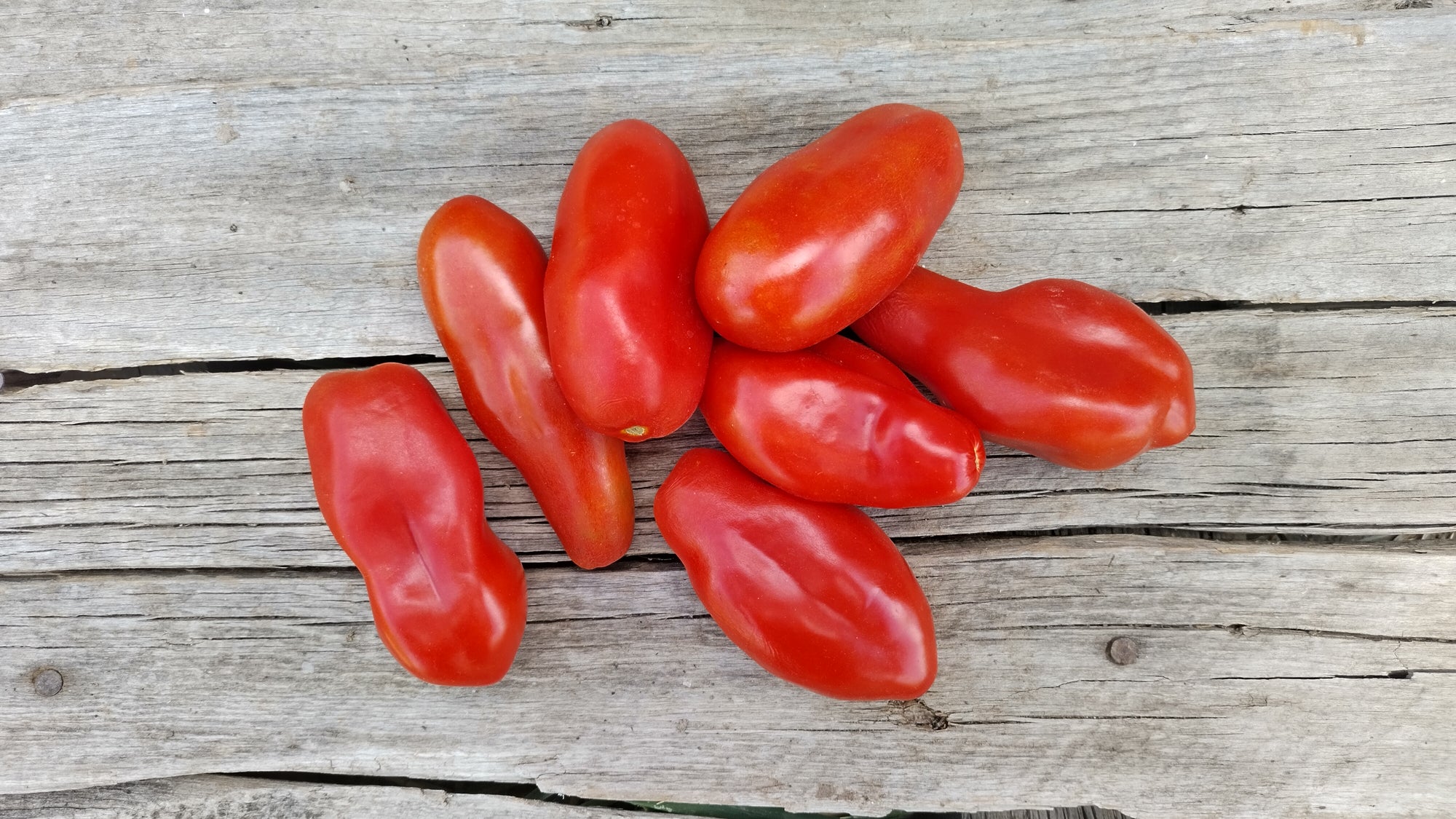 Zach's Paste Tomatoes (/lb)