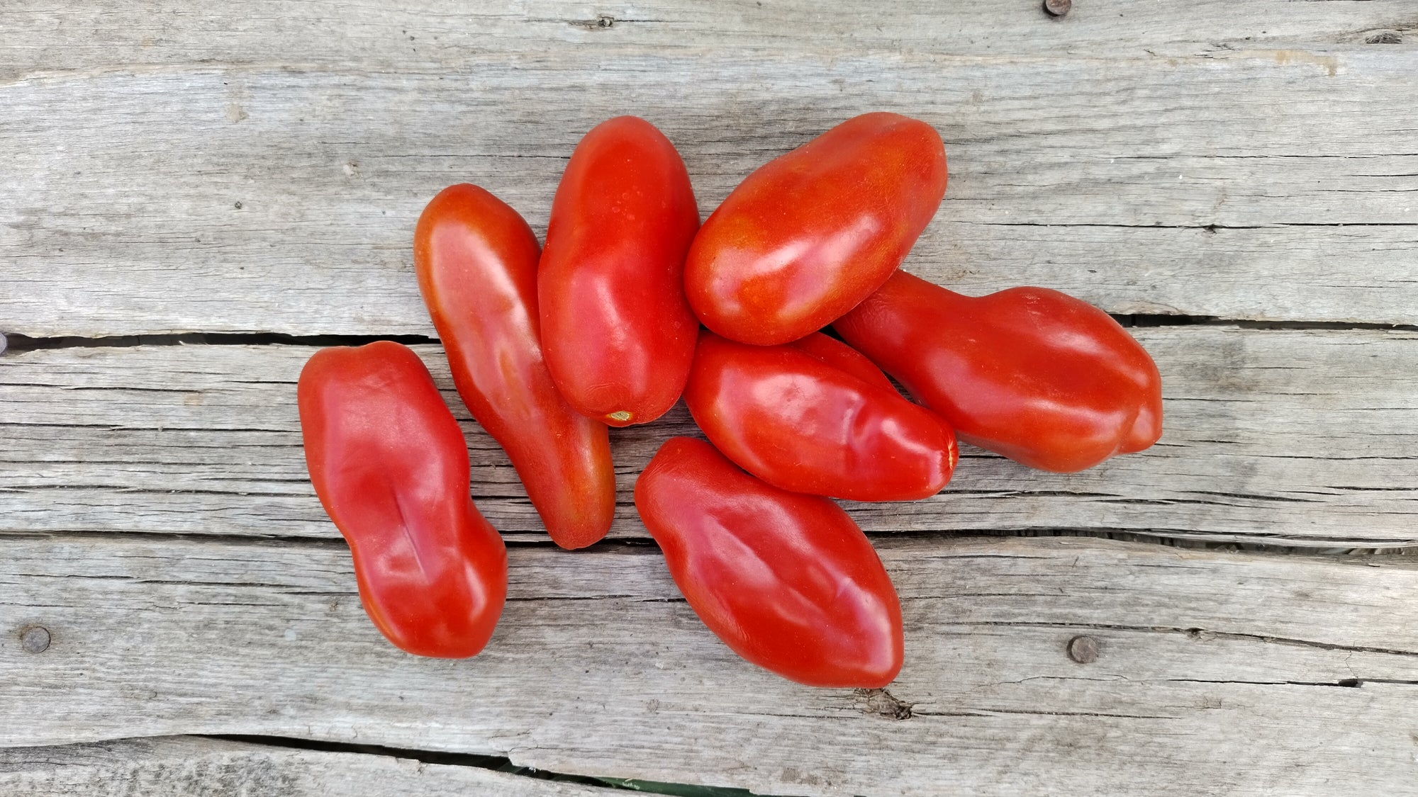 Zach's Paste Tomatoes (/lb)