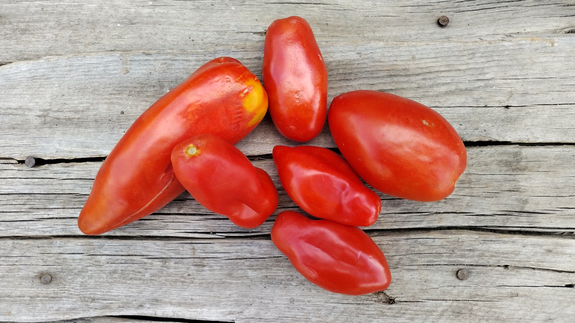 Zach's Paste Tomatoes (/lb)