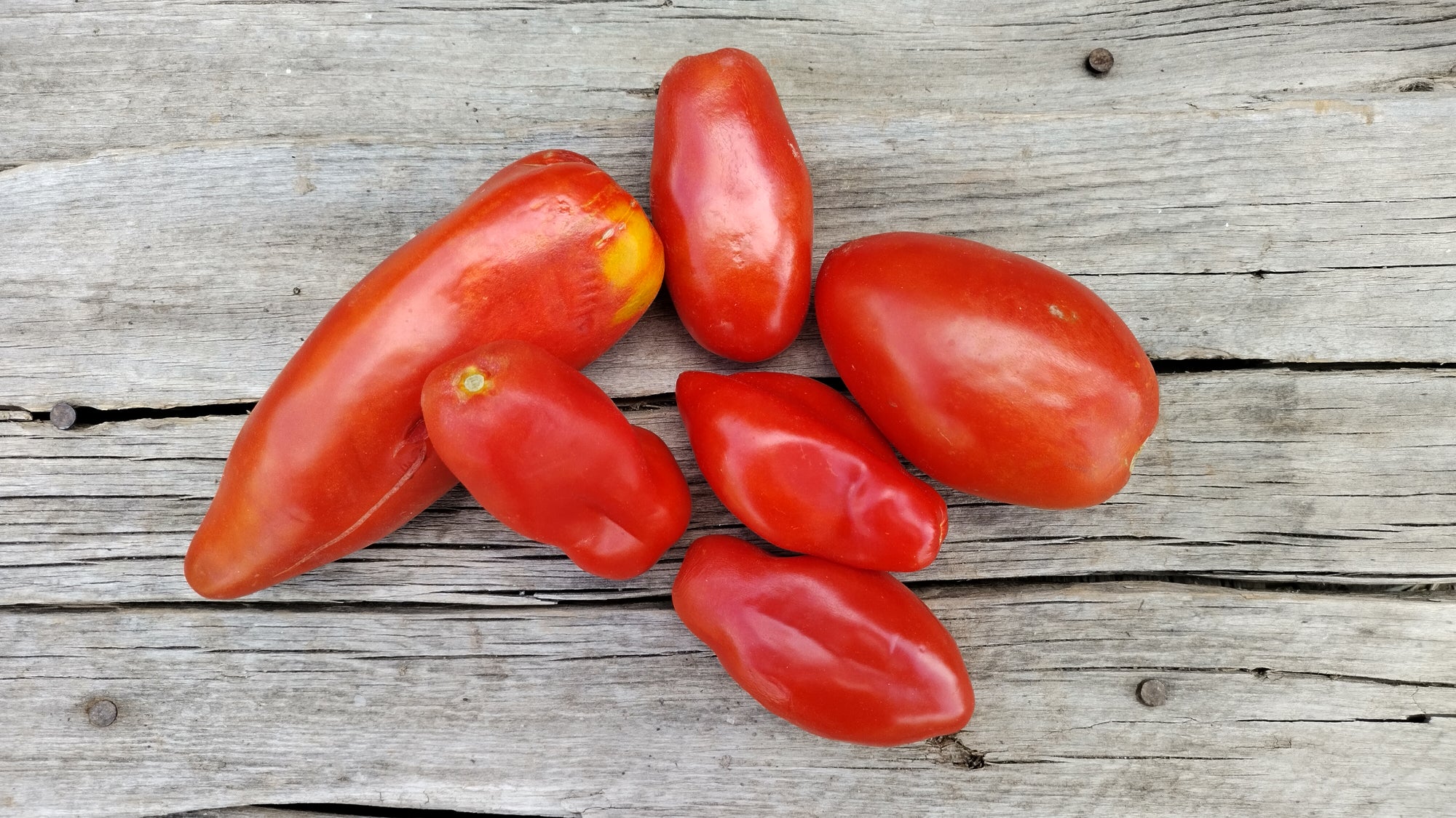 Zach's Paste Tomatoes (/lb)