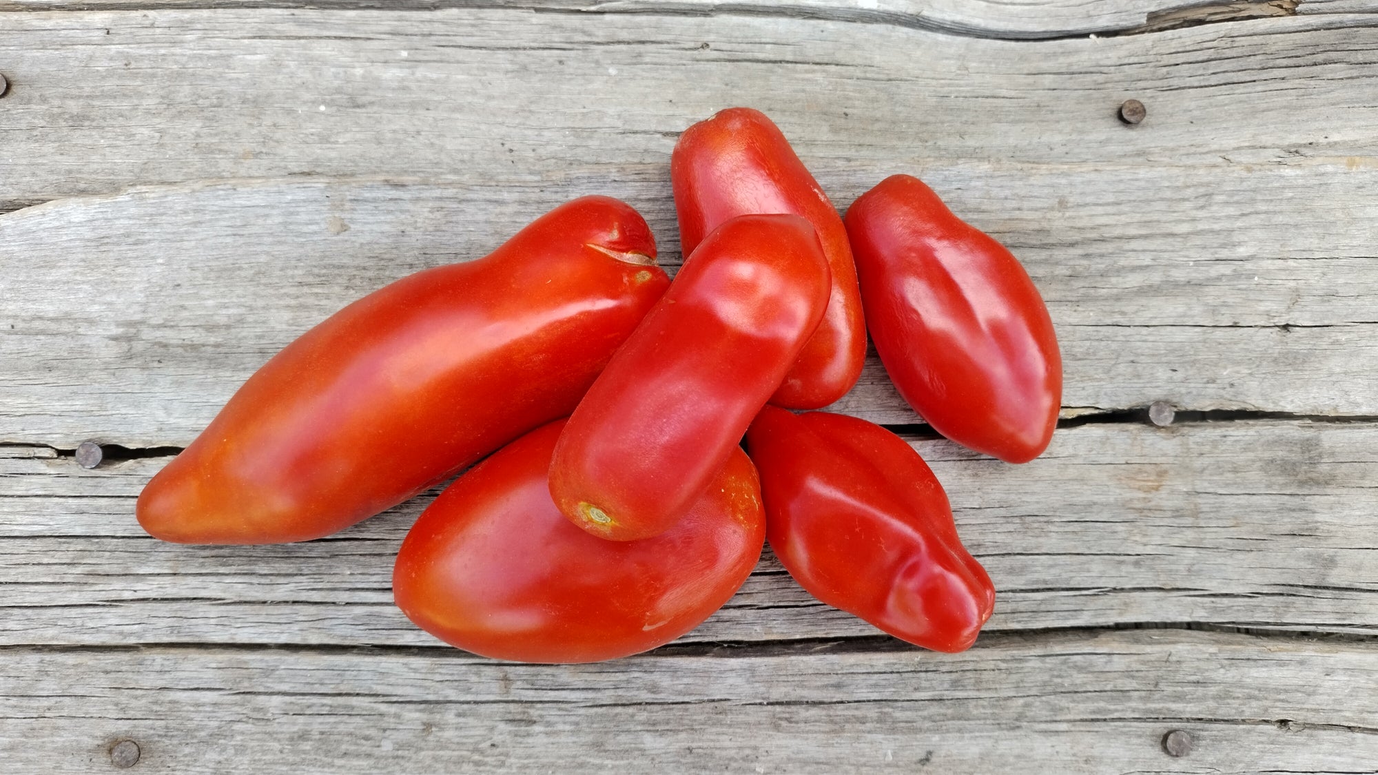 Zach's Paste Tomatoes (/lb)