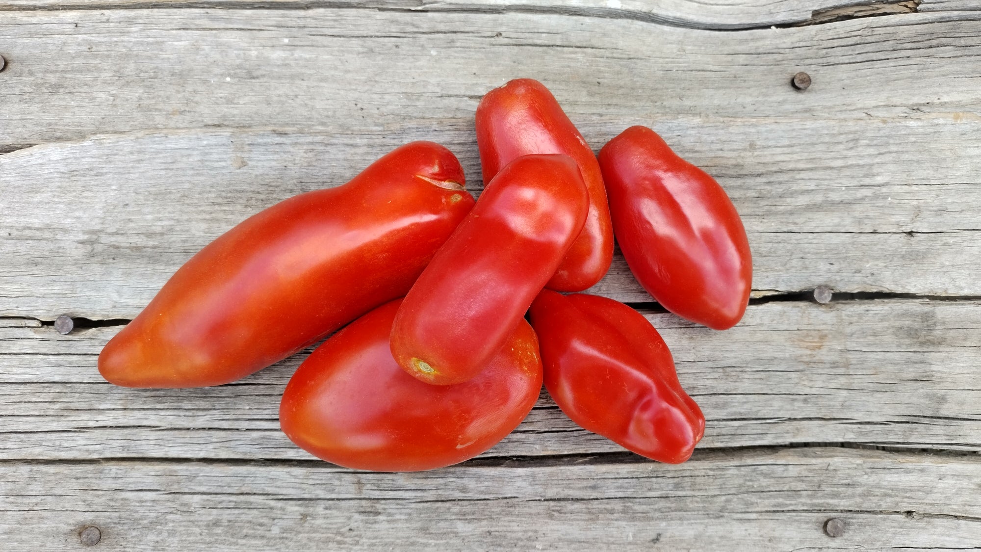 Zach's Paste Tomatoes (/lb)