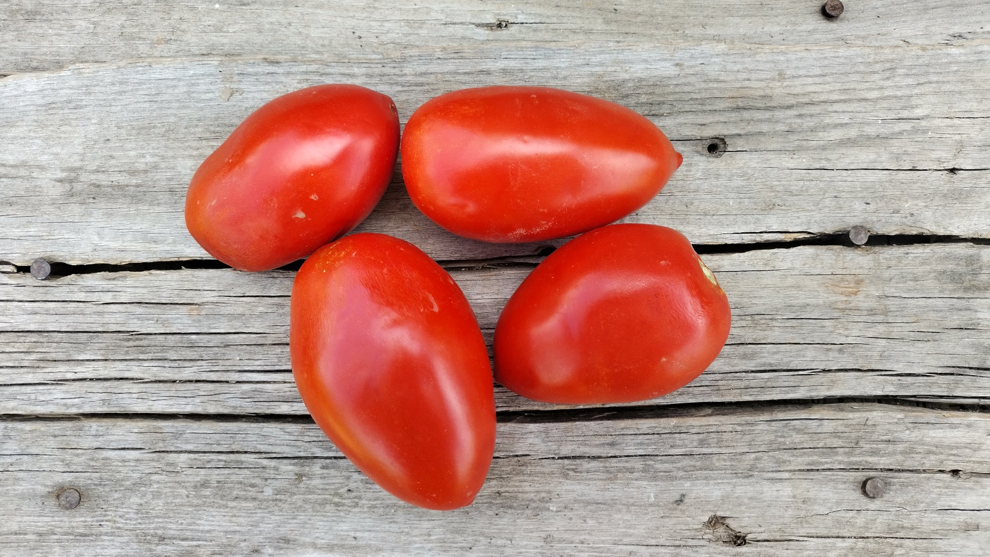 Zach's Paste Tomatoes (/lb)